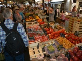 Tn CANNES ANTIBES 189